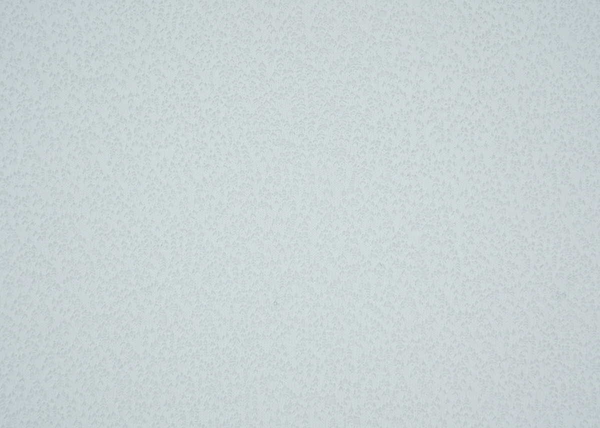 SK-040423-5437副.JPG